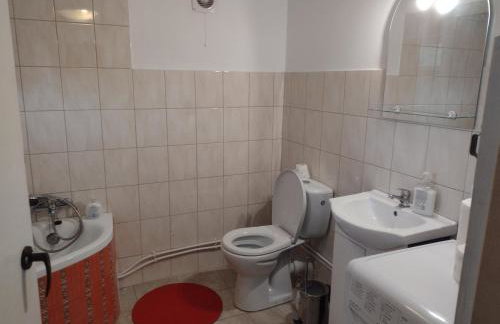 Kolorowe Wzgórze agroturystyka i konie - Foto 11