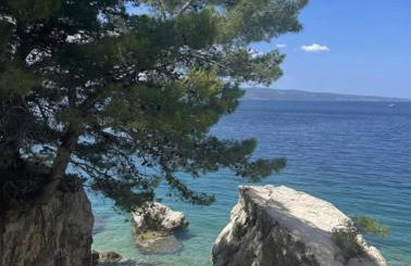 Apartman Zen - Photo 3