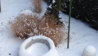 Schuster Emma - Foto 2