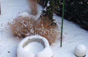 Schuster Emma - Foto 2