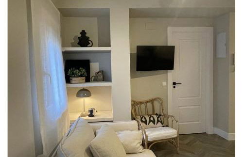 Apartamentos BEJAR - MUSGO - Foto 11