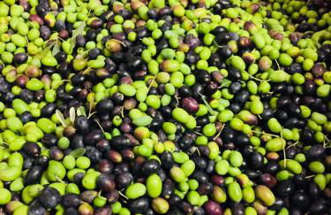 In Riva al Lago di Iseo Residenza Primo Piano - Foto 60