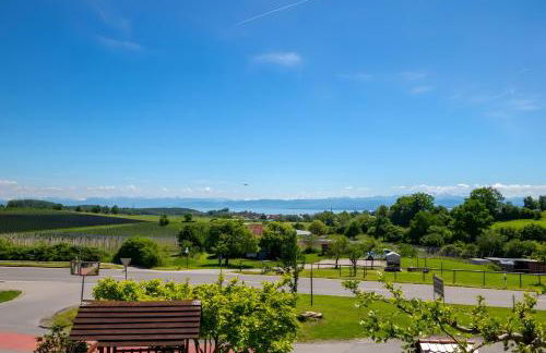 Weingut Geiger - Foto 6