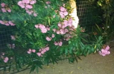 Eirini house - Foto 30