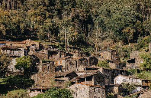 Ribeirinha - Foto 60