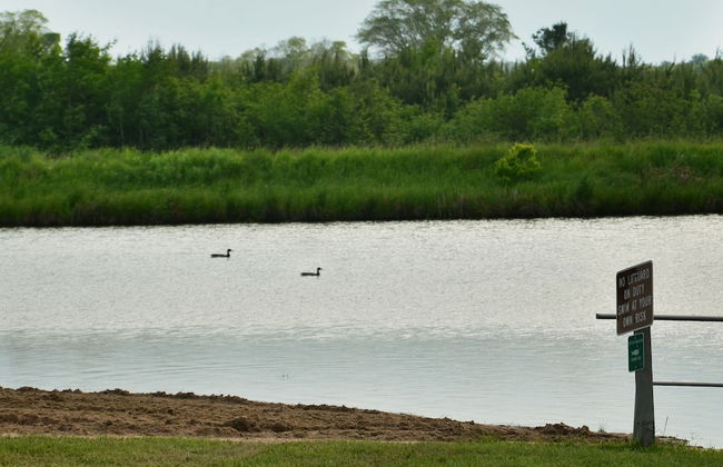 Sunset Pines Resort - Photo 21