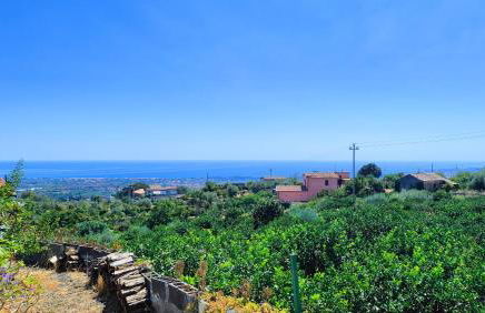 Il Limoneto di Leo - Foto 35