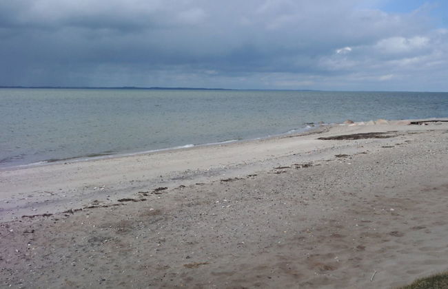 "Assarina" - 300m to the fjord - Foto 19