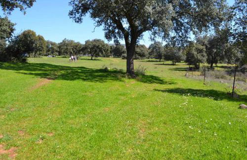 Finca el Vizconde - Naturaleza con tus hijos - Foto 25