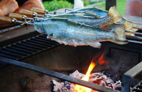 Urlaub mit Alpakas - Foto 20