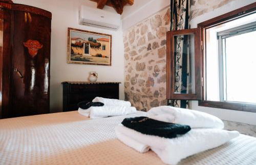 Olive Roots - Foto 67