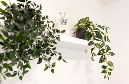 Helle gemütliche 3-Zi-Whg mit Terrasse und Gartenzugang - Foto 21