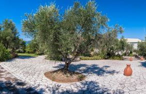 Thanos Village - Foto 40