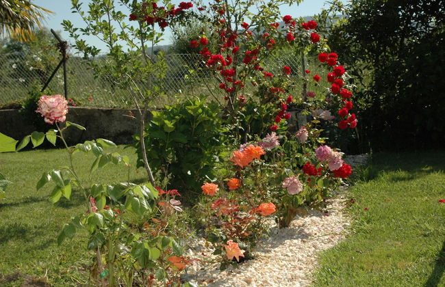 Os Migueliños - Foto 24