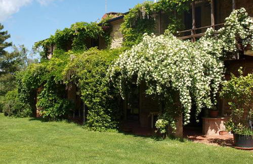 Agriturismo San Carlo - Foto 52