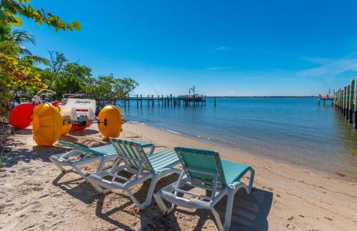 Art on the Beach - Foto 73