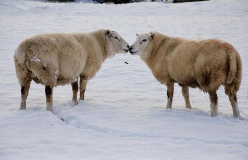 Marina Cottage - Foto 32