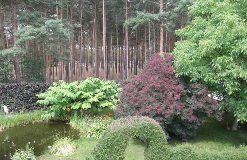 Amselgarten - Foto 37