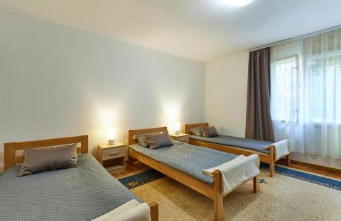 Pet Friendly Home In Gudovac With Wifi - Foto 28