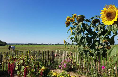 Heimatliebe Ferienwohnung - Foto 22