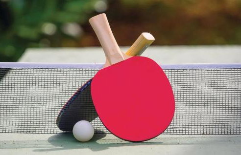 Villa Zelena Oaza - Photo 13