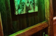 Myśliwska chata Staś i Nel - Foto 17