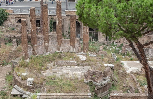 Rental in Rome Ancient Rome View - Foto 41