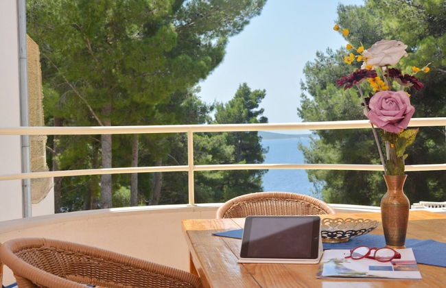 Dino - Gorgeous Garden - A3 Island - Foto 1