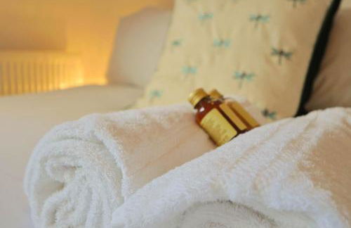 Hotwells spacious flat sleeps three - Foto 11