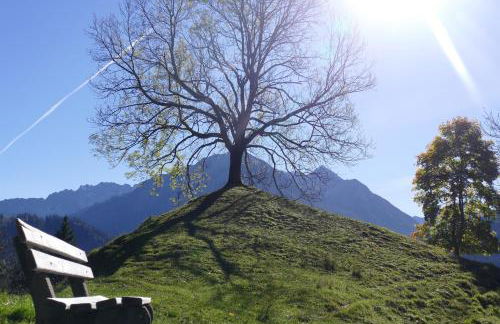 Haus Sonnenruh - Foto 45