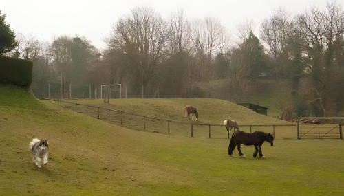 Pet-Friendly Logburner Horse Stable Views - Foto 2, Garden, Garden view