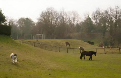 Pet-Friendly Logburner Horse Stable Views - Foto 2