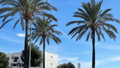 PEQUEÑO PARAISO - Foto 2