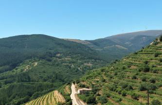 Casa de campo do Rojão do Meio - Photo 1