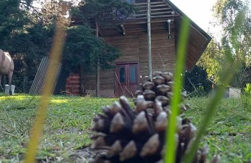 CHALÉ ESTÂNCIA OURO VERDE - Photo 80