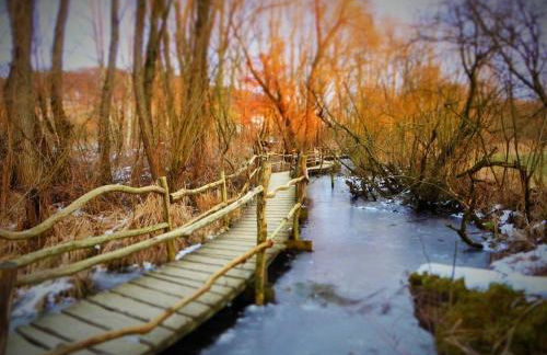 Holiday apartment with 3 bedrooms - Foto 30