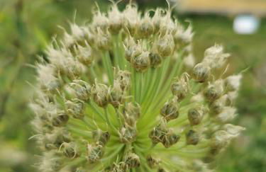 La grange de Pierrot - Foto 25