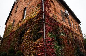 Miły Młyn - Foto 32