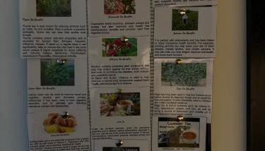 Lombok Apartment near Old Street,Islington,Angel - Foto 5