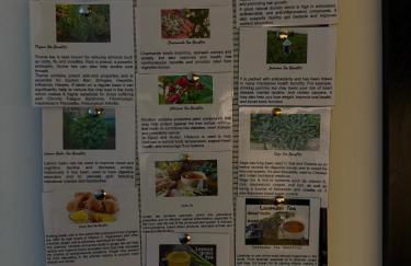 Lombok Apartment near Old Street,Islington,Angel - Foto 5