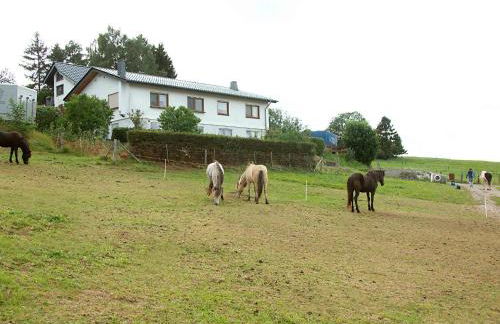 Ferienwohnung Roderath - Photo 14