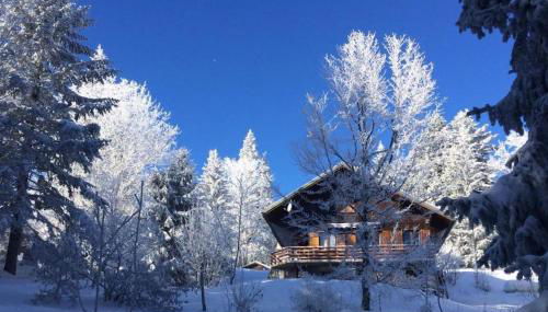Chalet Les Airelles - Foto 2