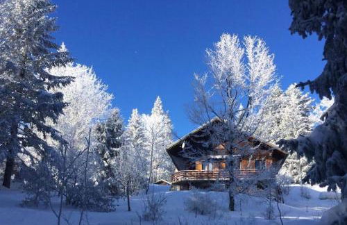 Chalet Les Airelles - Foto 2