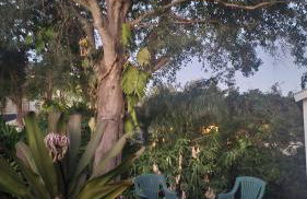 Newly remodeled Near Midtown S Tampa Westshore - Foto 7