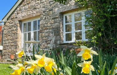 The Billiard Room - Cosy Country Retreat - Foto 1