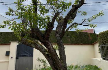 À la maison - Foto 29