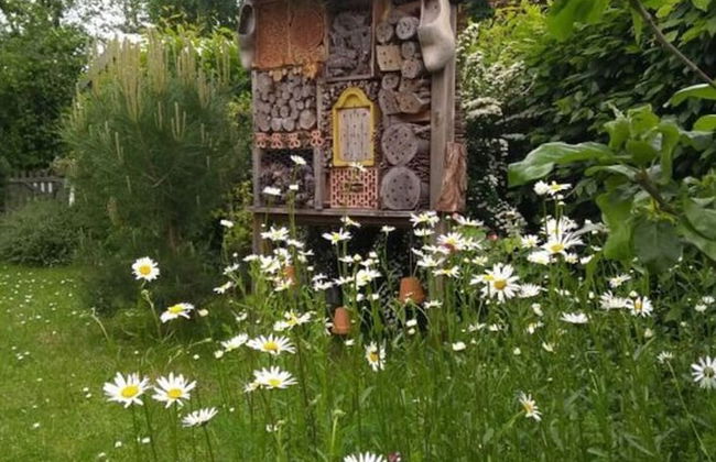 Holiday Home Mara. Comfortable Vacation Home - Photo 22