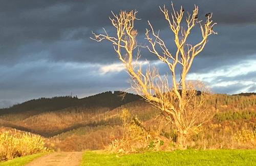 Steinberg-Blick - Foto 7