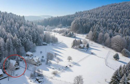 Klimatyczny dom z widokiem na Babią - kominek i ogrodzenie - Foto 50