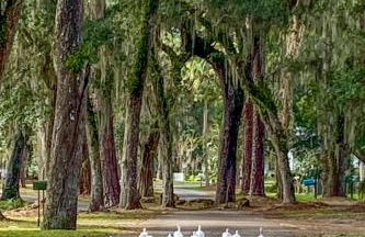 Charming 1940s Daybook Cottage on the Florida Hidden Coast - Foto 31